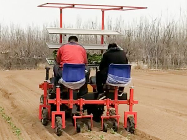 两行牵引式茄子移栽机